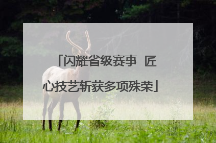 闪耀省级赛事  匠心技艺斩获多项殊荣