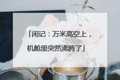 闲记：万米高空上，机舱里突然沸腾了