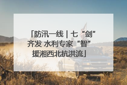 防汛一线｜七“剑”齐发 水利专家“智”援湘西北抗洪流