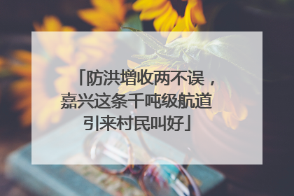 防洪增收两不误，嘉兴这条千吨级航道引来村民叫好