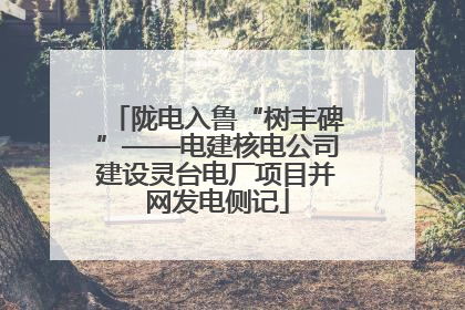 陇电入鲁“树丰碑”——电建核电公司建设灵台电厂项目并网发电侧记
