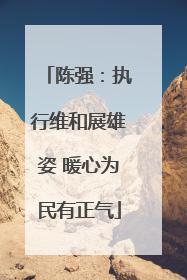 陈强：执行维和展雄姿 暖心为民有正气