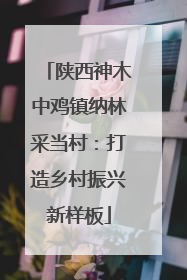 陕西神木中鸡镇纳林采当村：打造乡村振兴新样板