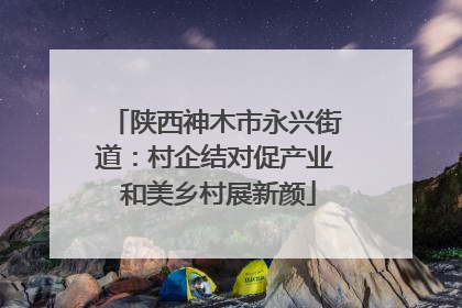 陕西神木市永兴街道：村企结对促产业 和美乡村展新颜