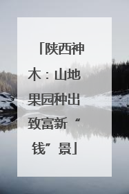 陕西神木：山地果园种出致富新“钱”景