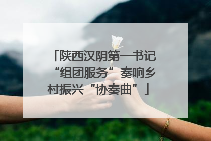 陕西汉阴第一书记“组团服务”奏响乡村振兴“协奏曲”