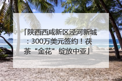 陕西西咸新区泾河新城：300万美元签约！茯茶“金花”绽放中亚