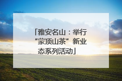 雅安名山：举行“蒙顶山茶”新业态系列活动