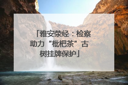 雅安荥经：检察助力“枇杷茶”古树挂牌保护