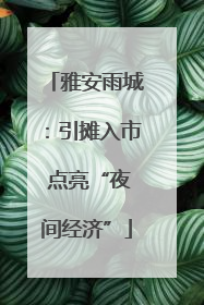 雅安雨城：引摊入市 点亮“夜间经济”