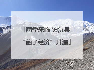 雨季来临 镇沅县“菌子经济”升温