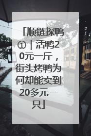 顺链探鸭①｜活鸭20元一斤，街头烤鸭为何却能卖到20多元一只