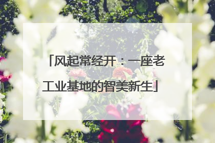 风起常经开：一座老工业基地的智美新生