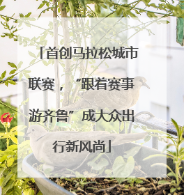首创马拉松城市联赛，“跟着赛事游齐鲁”成大众出行新风尚
