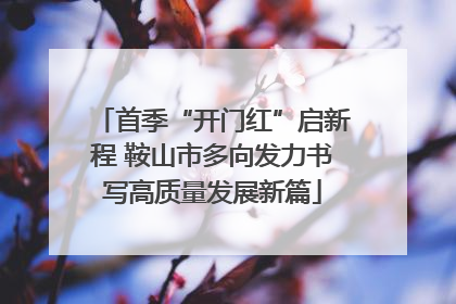 首季“开门红”启新程 鞍山市多向发力书写高质量发展新篇