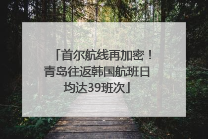 首尔航线再加密！青岛往返韩国航班日均达39班次