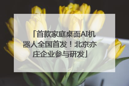 首款家庭桌面AI机器人全国首发！北京亦庄企业参与研发