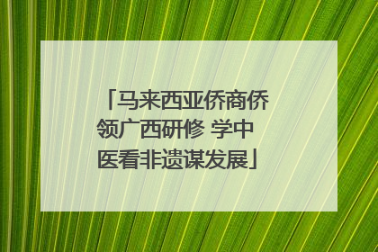 马来西亚侨商侨领广西研修 学中医看非遗谋发展