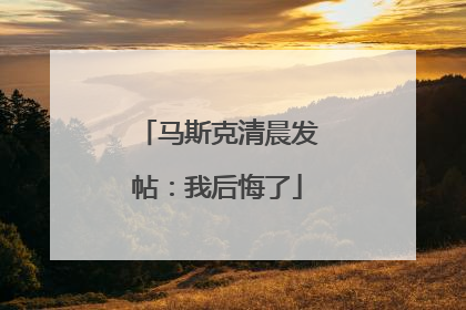 马斯克清晨发帖：我后悔了