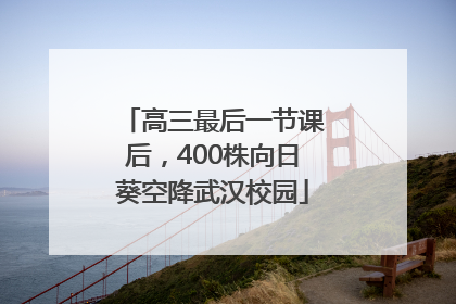 高三最后一节课后，400株向日葵空降武汉校园