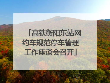 高铁衡阳东站网约车规范停车管理工作座谈会召开