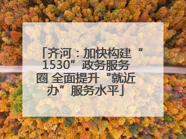 齐河：加快构建“1530”政务服务圈 全面提升“就近办”服务水平