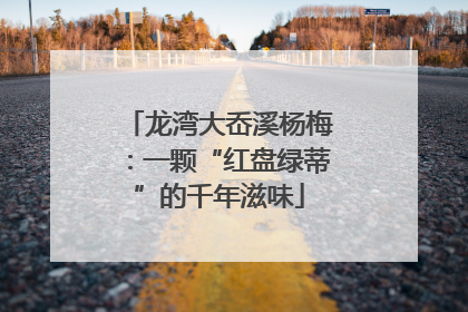 龙湾大岙溪杨梅：一颗“红盘绿蒂”的千年滋味