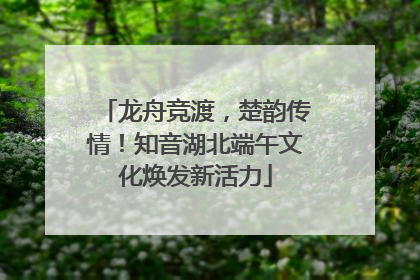 龙舟竞渡，楚韵传情！知音湖北端午文化焕发新活力