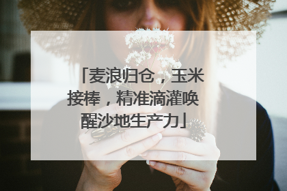 麦浪归仓，玉米接棒，精准滴灌唤醒沙地生产力