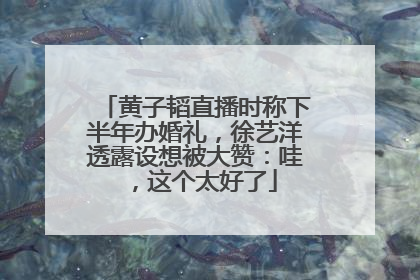 黄子韬直播时称下半年办婚礼，徐艺洋透露设想被大赞：哇，这个太好了