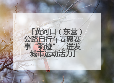 黄河口（东营）公路自行车赛聚赛事“骑迹”，迸发城市运动活力
