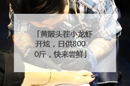 黄陂头茬小龙虾开炫，日供8000斤，快来尝鲜