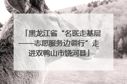黑龙江省“名医走基层——志愿服务边疆行”走进双鸭山市饶河县