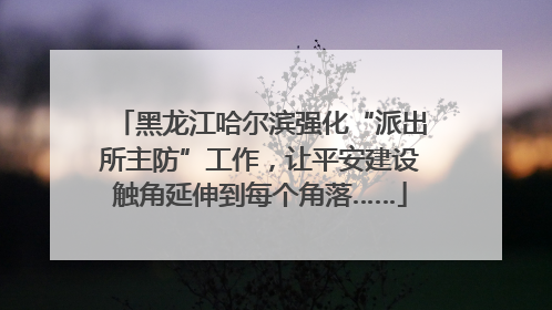 黑龙江哈尔滨强化“派出所主防”工作，让平安建设触角延伸到每个角落……