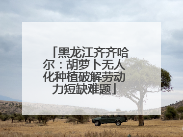 黑龙江齐齐哈尔：胡萝卜无人化种植破解劳动力短缺难题