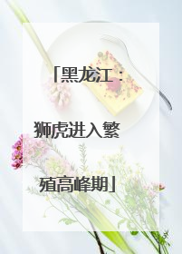 黑龙江：狮虎进入繁殖高峰期