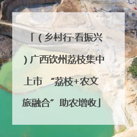 （乡村行·看振兴）广西钦州荔枝集中上市 “荔枝+农文旅融合”助农增收
