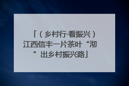 （乡村行·看振兴）江西信丰一片茶叶“沏”出乡村振兴路