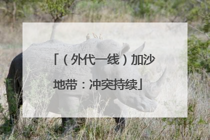 （外代一线）加沙地带：冲突持续