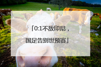 0:1不敌印尼，国足告别世预赛