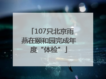 107只北京雨燕在颐和园完成年度“体检”