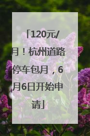 120元/月！杭州道路停车包月，6月6日开始申请