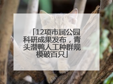 12项市属公园科研成果发布，青头潜鸭人工种群规模破百只