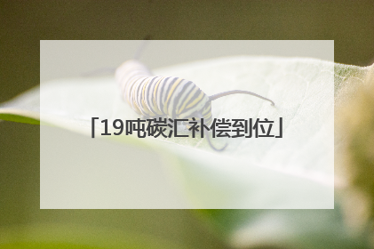 19吨碳汇补偿到位