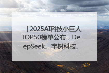 2025AI科技小巨人TOP50榜单公布，DeepSeek、宇树科技、蘑菇车联等企业荣誉上榜