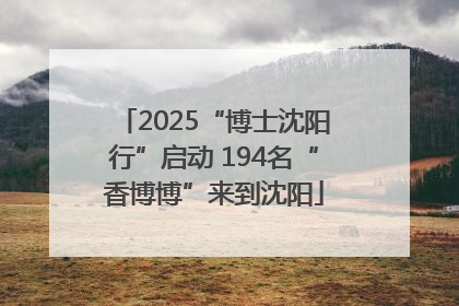 2025“博士沈阳行”启动 194名“香博博”来到沈阳