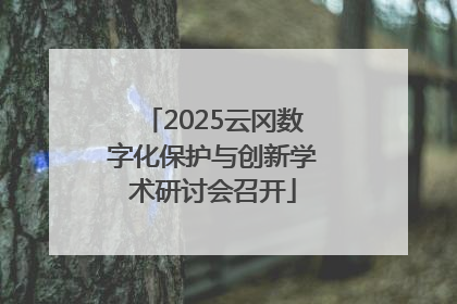 2025云冈数字化保护与创新学术研讨会召开