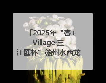 2025年“客+Village·三江匯杯”赣州水西龙舟文化节圆满落幕