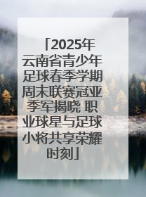 2025年云南省青少年足球春季学期周末联赛冠亚季军揭晓 职业球星与足球小将共享荣耀时刻