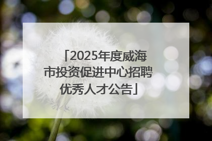 2025年度威海市投资促进中心招聘优秀人才公告